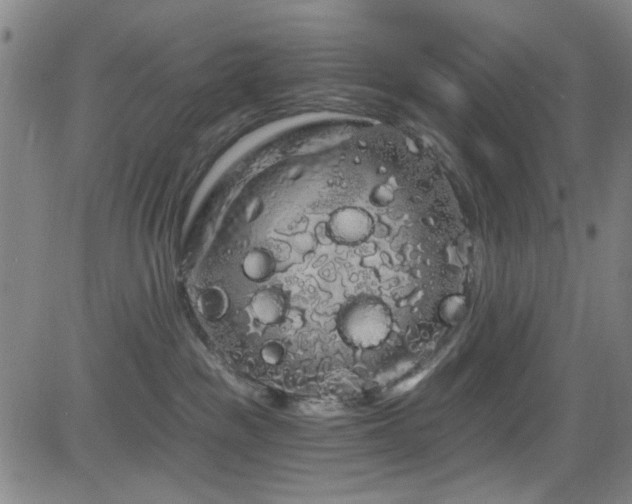 X0000083020189200702021124