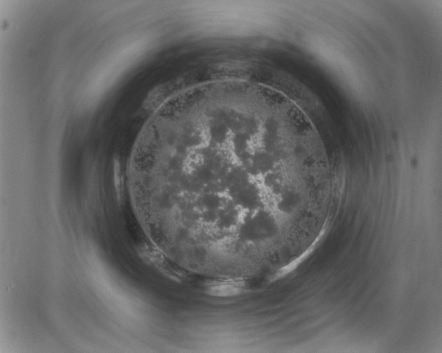 X0000083020191200702021124