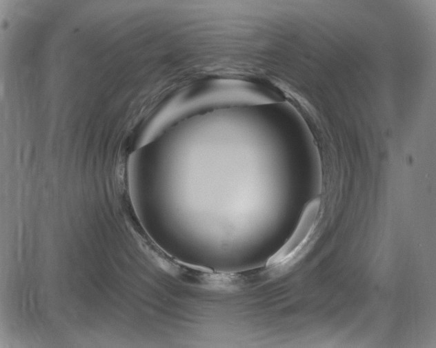 X0000083020192200702021124