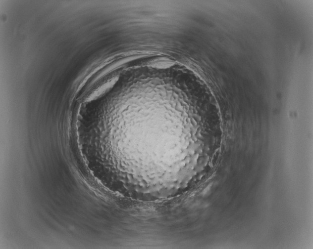 X0000083020194200702021123