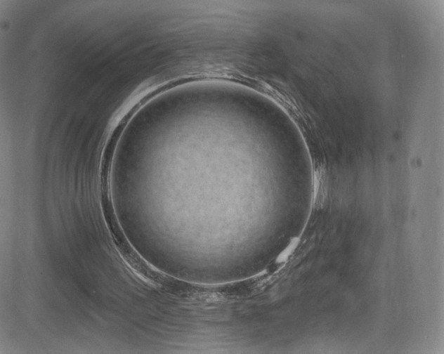 X0000083020195200702021123