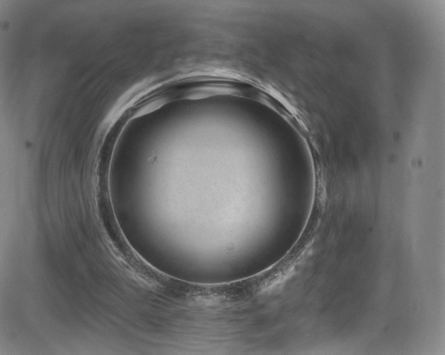 X0000083020199200702021123