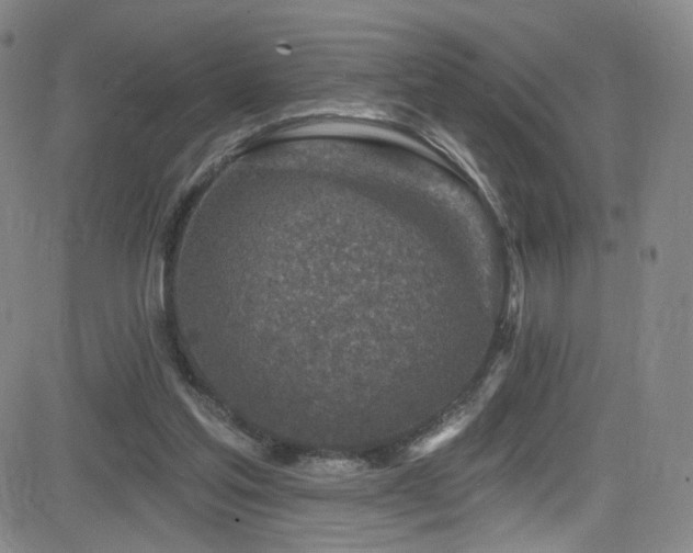 X0000083020205200702021123