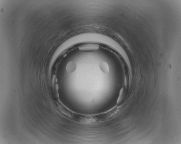X0000083020217200702021123