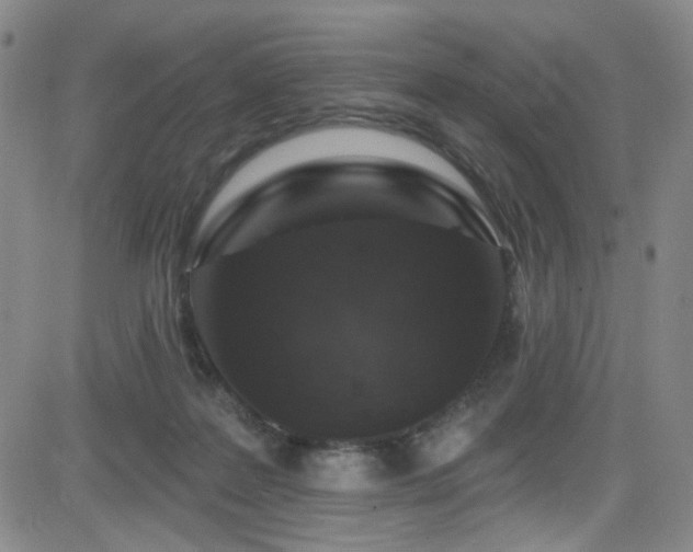 X0000083020219200702021123