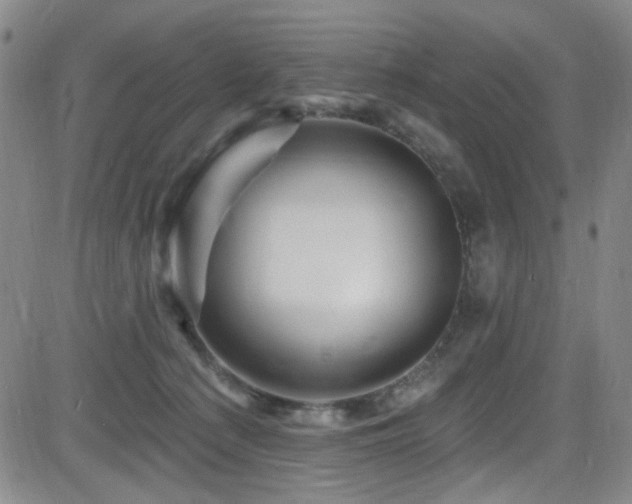 X0000083020225200702021123