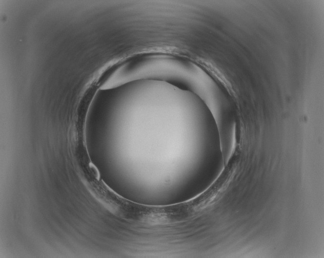 X0000083020252200702021122