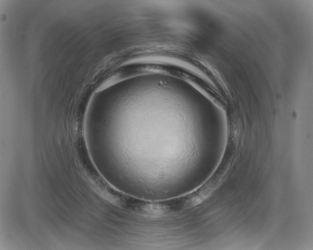 X0000083020261200702021122