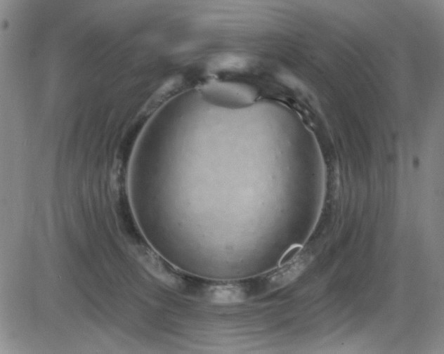 X0000083020275200702021122
