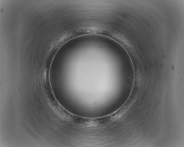 X0000083020310200702021121