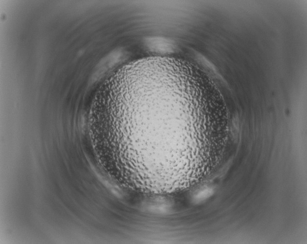 X0000083020330200702021121