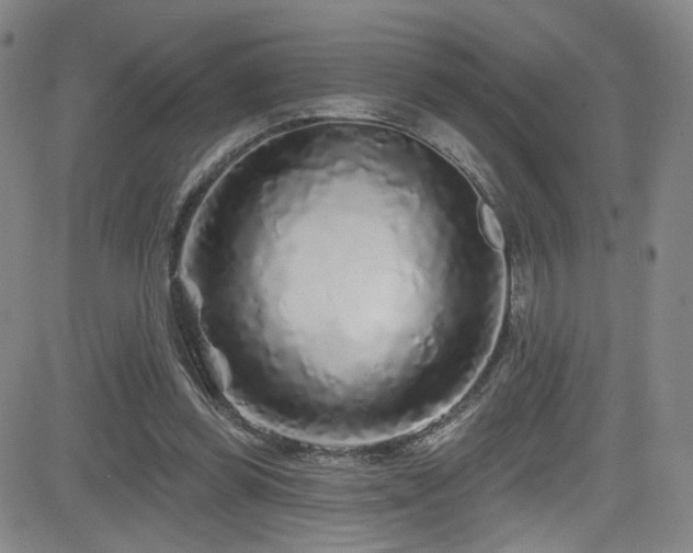 X0000083020349200702021120