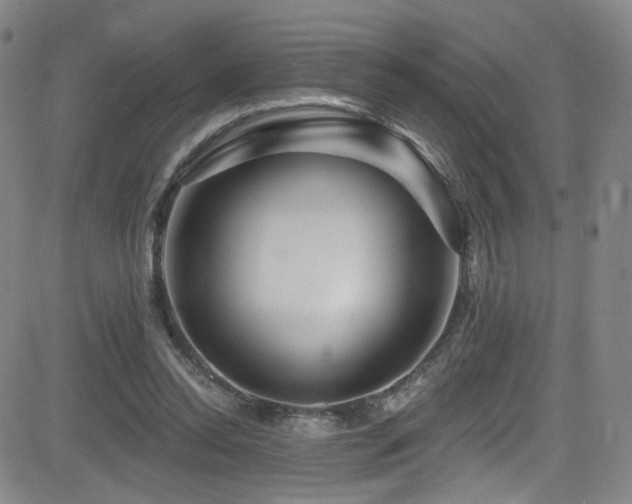 X0000083020350200702021120