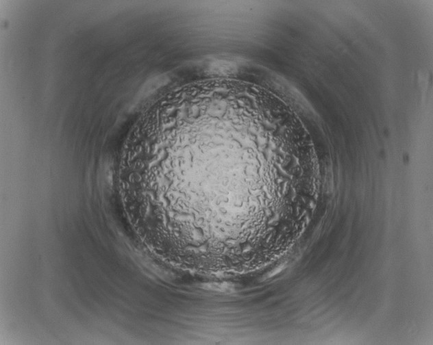 X0000083020363200702021120