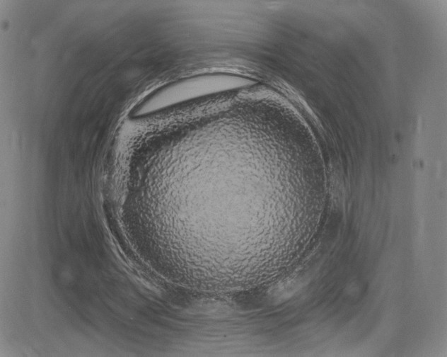 X0000083020386200702021120