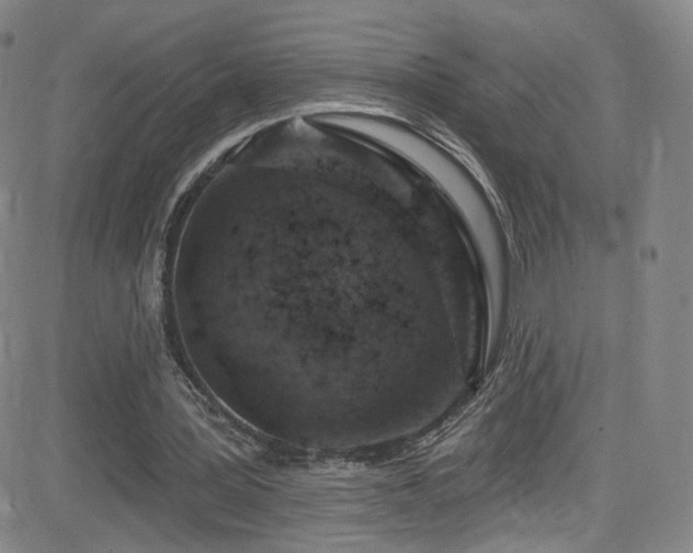X0000083020387200702021120