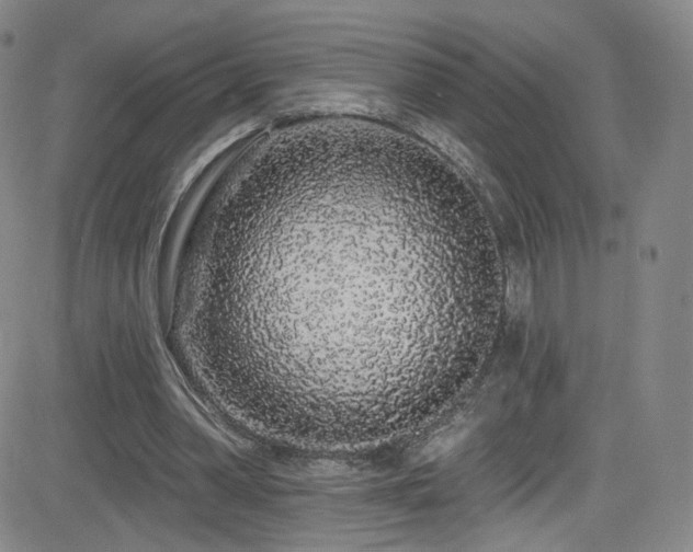 X0000083020390200702021120