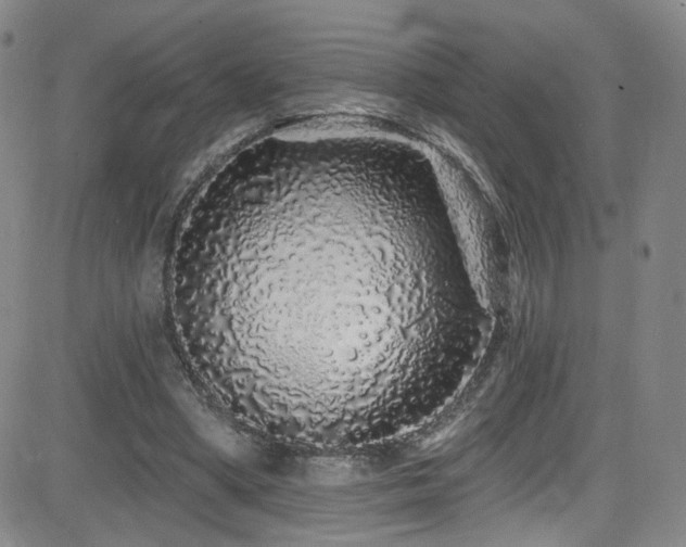 X0000083020394200702021120