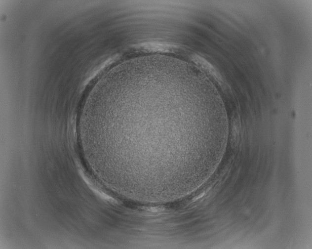 X0000083020398200702021120
