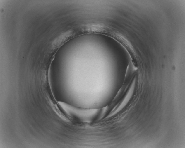 X0000083020401200702021120
