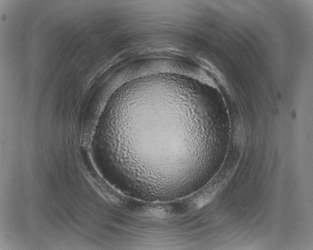 X0000083020405200702021120