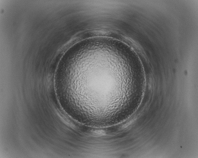 X0000083020409200702021120