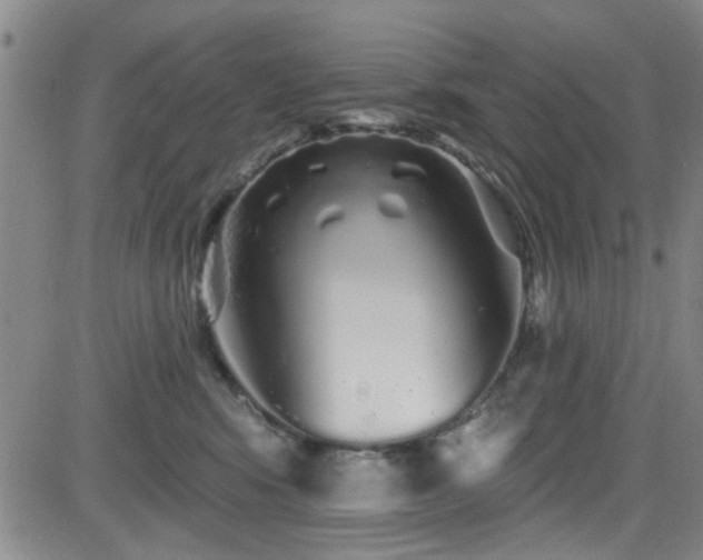 X0000083020424200702021119