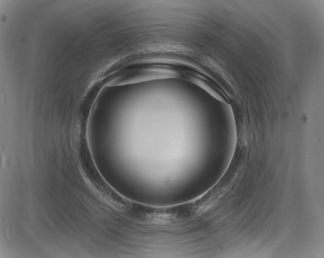 X0000083020448200702021119