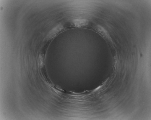 X0000083020471200702021119