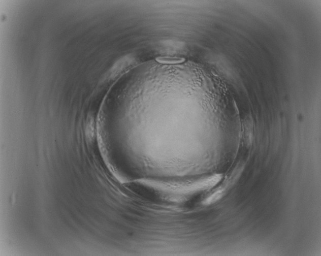 X0000083020479200702021119