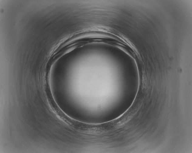 X0000083020485200702021118