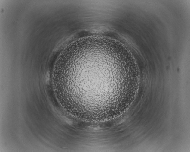 X0000083020502200702021118