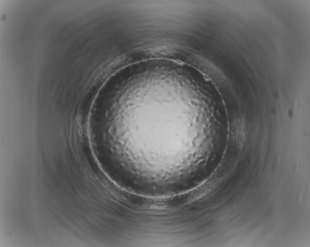 X0000083020506200702021118