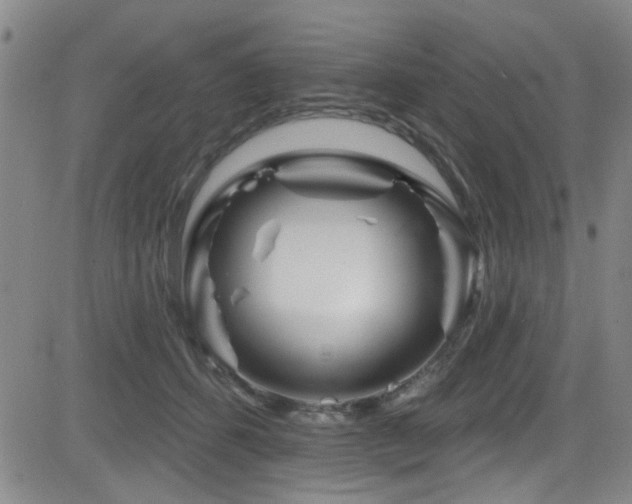 X0000083020512200702021118