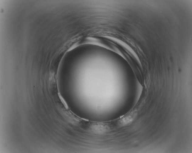 X0000083020521200702021118