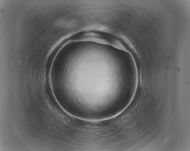 X0000083020531200702021117