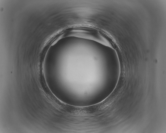 X0000083020535200702021117