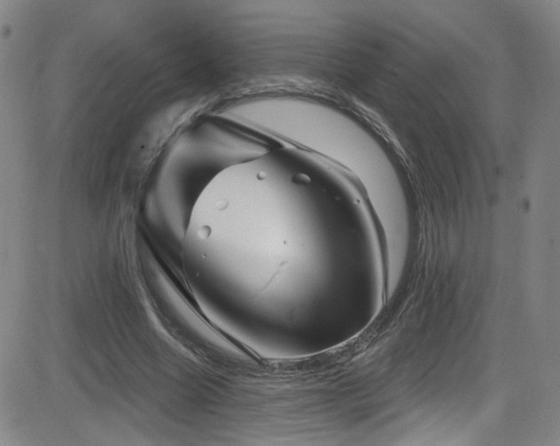 X0000083020538200702021117