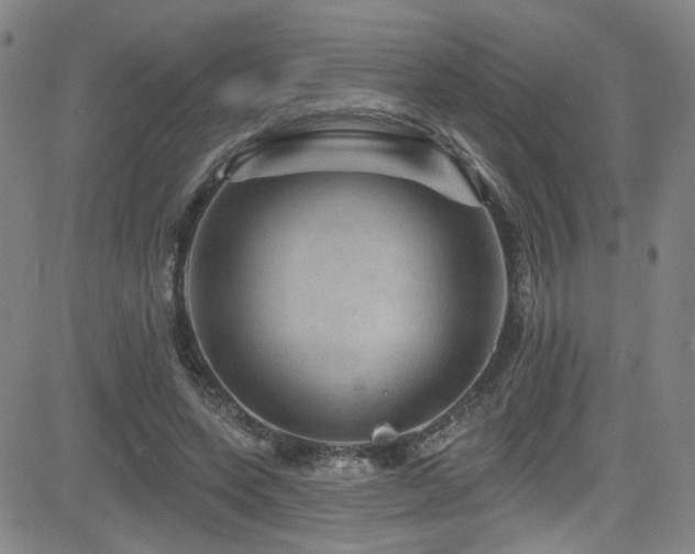 X0000083020543200702021117