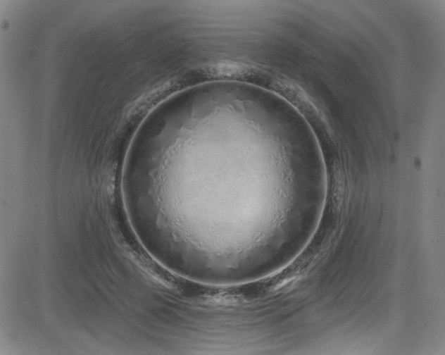 X0000083020545200702021117