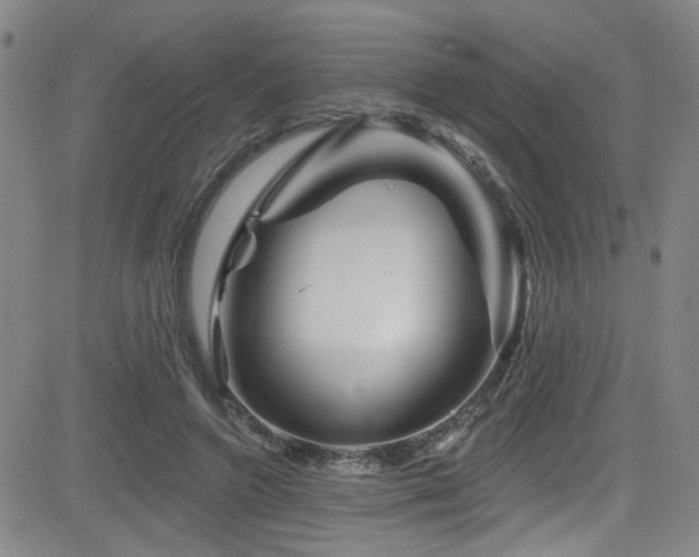 X0000083020546200702021117