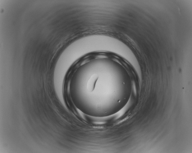 X0000083020552200702021117