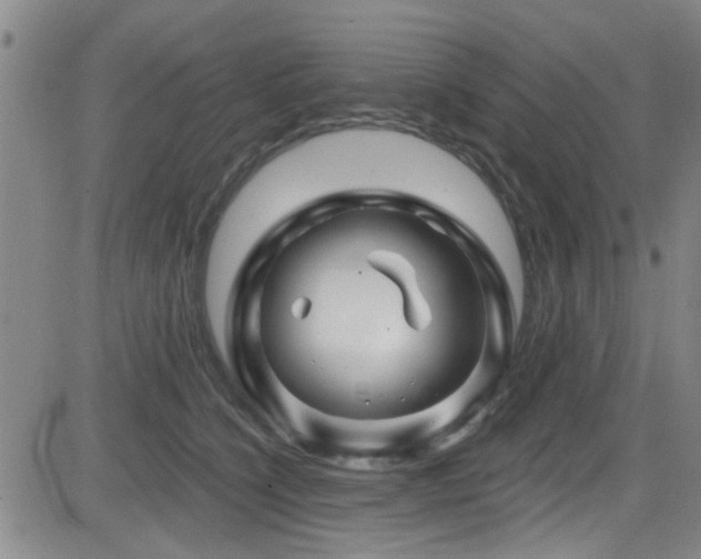 X0000083020564200702021117