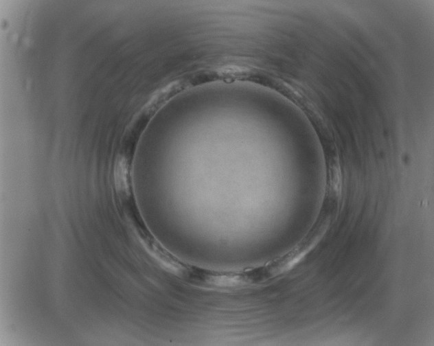 X0000083020575200702021118