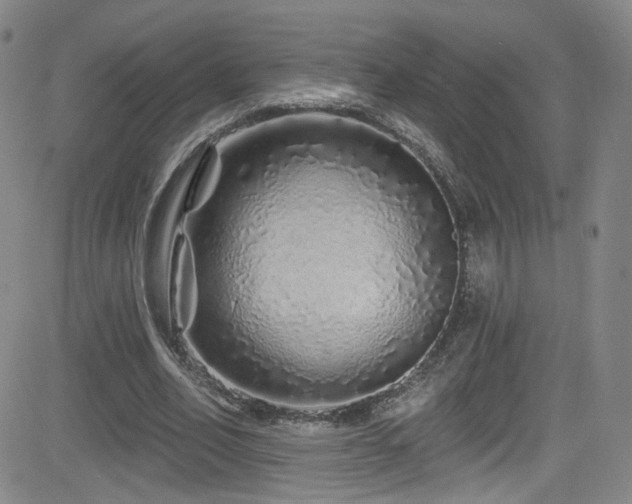X0000083020582200702021117