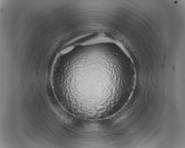 X0000083020594200702021117