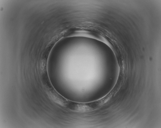 X0000083020605200702021116