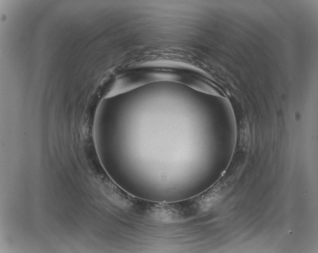 X0000083020608200702021116