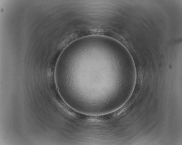 X0000083020614200702021116