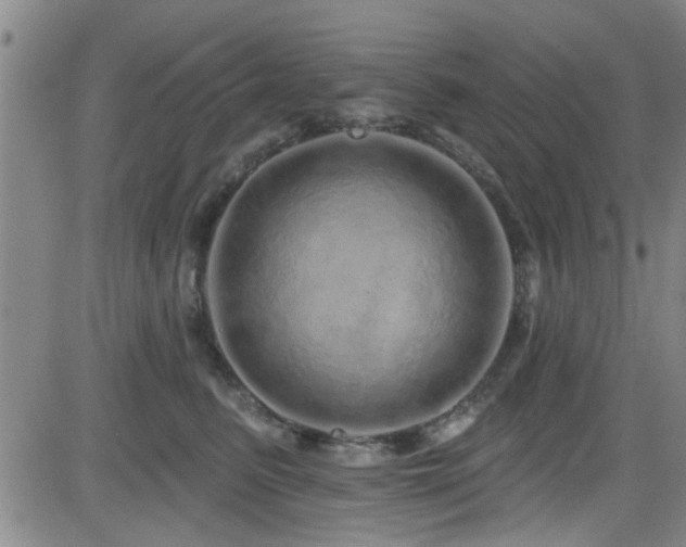 X0000083020615200702021116